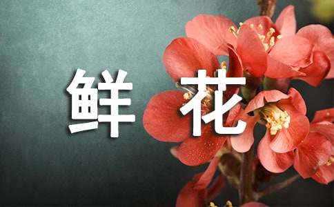 送花給朋友的句子_朋友送花祝福語_送花寄語短句朋友