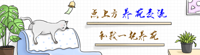 家里養(yǎng)大型綠植好嗎_適合家里養(yǎng)的大型綠植有哪些_家庭養(yǎng)大型的綠植物好