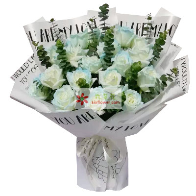 白玫瑰適合送對象嘛_白玫瑰送人代表什么意思_白玫瑰花適合送什么人