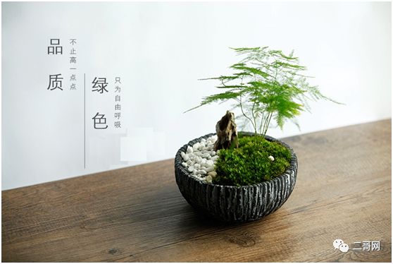 送花給同學(xué)的祝福語_送同學(xué)的花_送花給同學(xué)