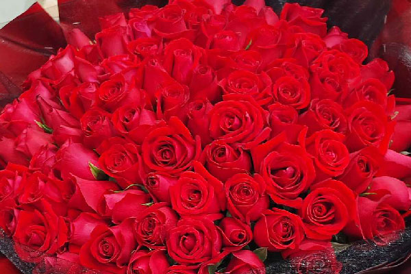 女朋友送玫瑰花怎么發朋友圈_送玫瑰花朋友女生怎么說_送女朋友玫瑰花